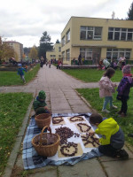 /album/putovani-se-skritkem-podzimnickem/566504649-808428261945659-376083787875665568-n-jpg/