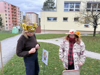 /album/putovani-se-skritkem-podzimnickem/263eb425-d08d-45fe-8034-b48b48c31f08-jpg/