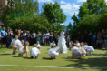 /album/fotogalerie-den-rodiny1/dsc-0027-jpg/
