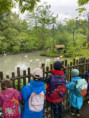 /album/fotogalerie-vylet-do-zoo-lesna/unknown-11-jpg35/