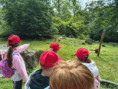 /album/fotogalerie-vylet-do-zoo-zlin/unknown-4-jpg52/