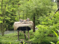 /album/fotogalerie-vylet-do-zoo-zlin/unknown-9-jpg39/