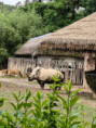 /album/fotogalerie-vylet-do-zoo-zlin/unknown-11-jpg36/
