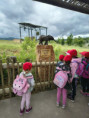 /album/fotogalerie-vylet-do-zoo-zlin/unknown-12-jpg36/