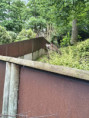 /album/fotogalerie-vylet-do-zoo-zlin/unknown-15-jpg32/