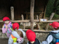 /album/fotogalerie-vylet-do-zoo-zlin/unknown-17-jpg29/
