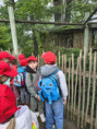 /album/fotogalerie-vylet-do-zoo-zlin/unknown-20-jpg19/