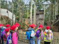 /album/fotogalerie-vylet-do-zoo-zlin/unknown-26-jpg12/