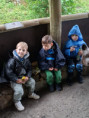 /album/fotogalerie-skolni-vylet-do-zoo-zlin-lesna/unknown-23-jpg17/