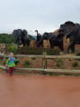 /album/fotogalerie-skolni-vylet-do-zoo-zlin-lesna/unknown-25-jpg16/