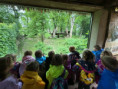 /album/fotogalerie-skolni-vylet-do-zoo-zlin-lesna/unknown-37-jpg6/