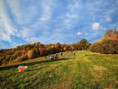 /album/fotogalerie-drakiada1/unknown-12-jpg5/