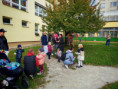 /album/fotogalerie-drakiada1/unknown-34-jpg1/
