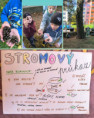 /album/fotogalerie-stromy-a-my/unknown-2-jpg16/
